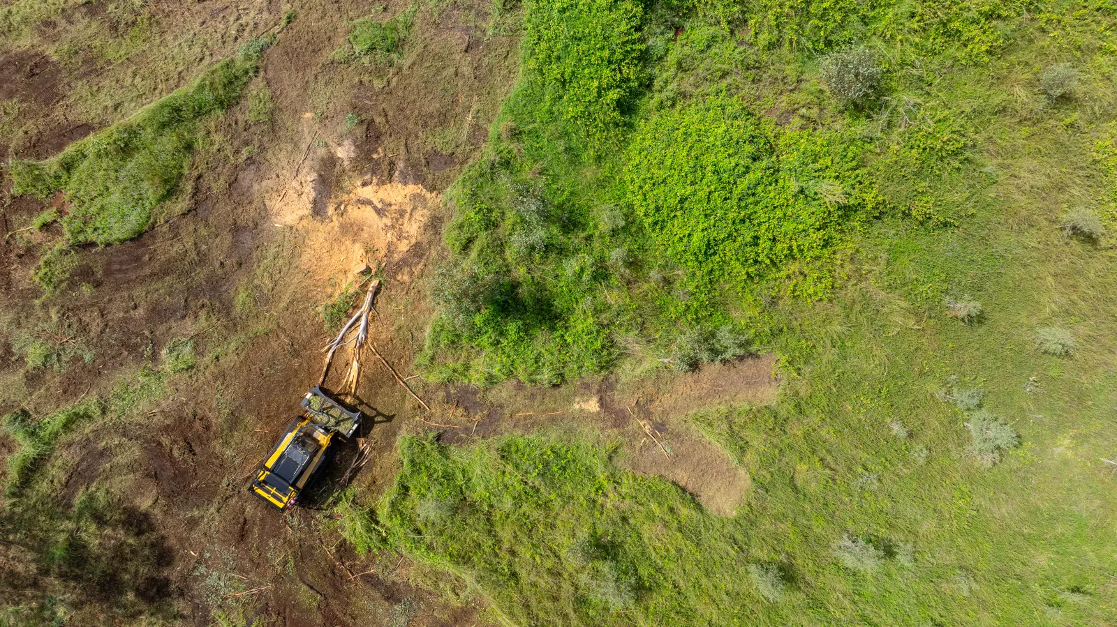 Aerial view of Yeppoon and Capricorn Coast vegetation management work